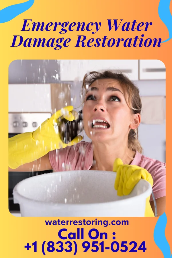 Emergency Water Damage Restoration in Pearl, IL