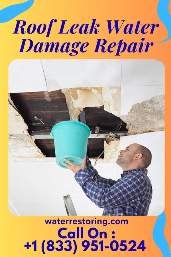 Roof Leak Water Damage Repair in Pearl, IL