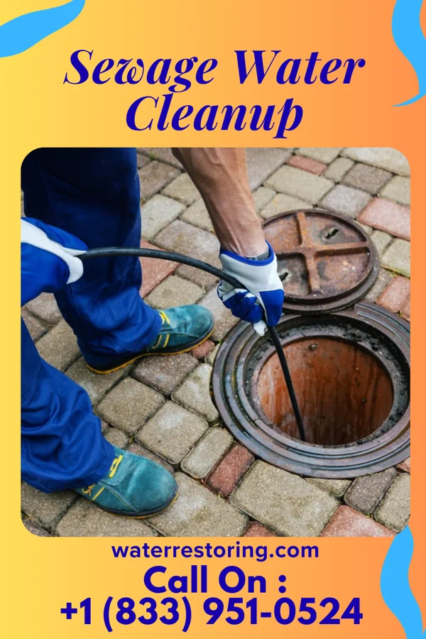 Sewage Water Cleanup in Pearl, IL