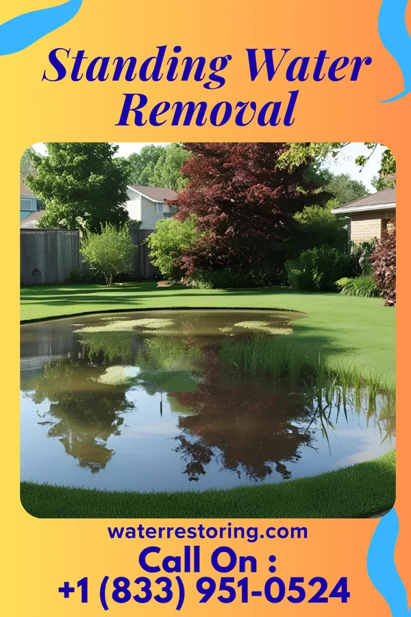 Standing Water Removal in Pearl, IL